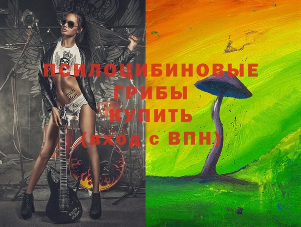 винт Верея